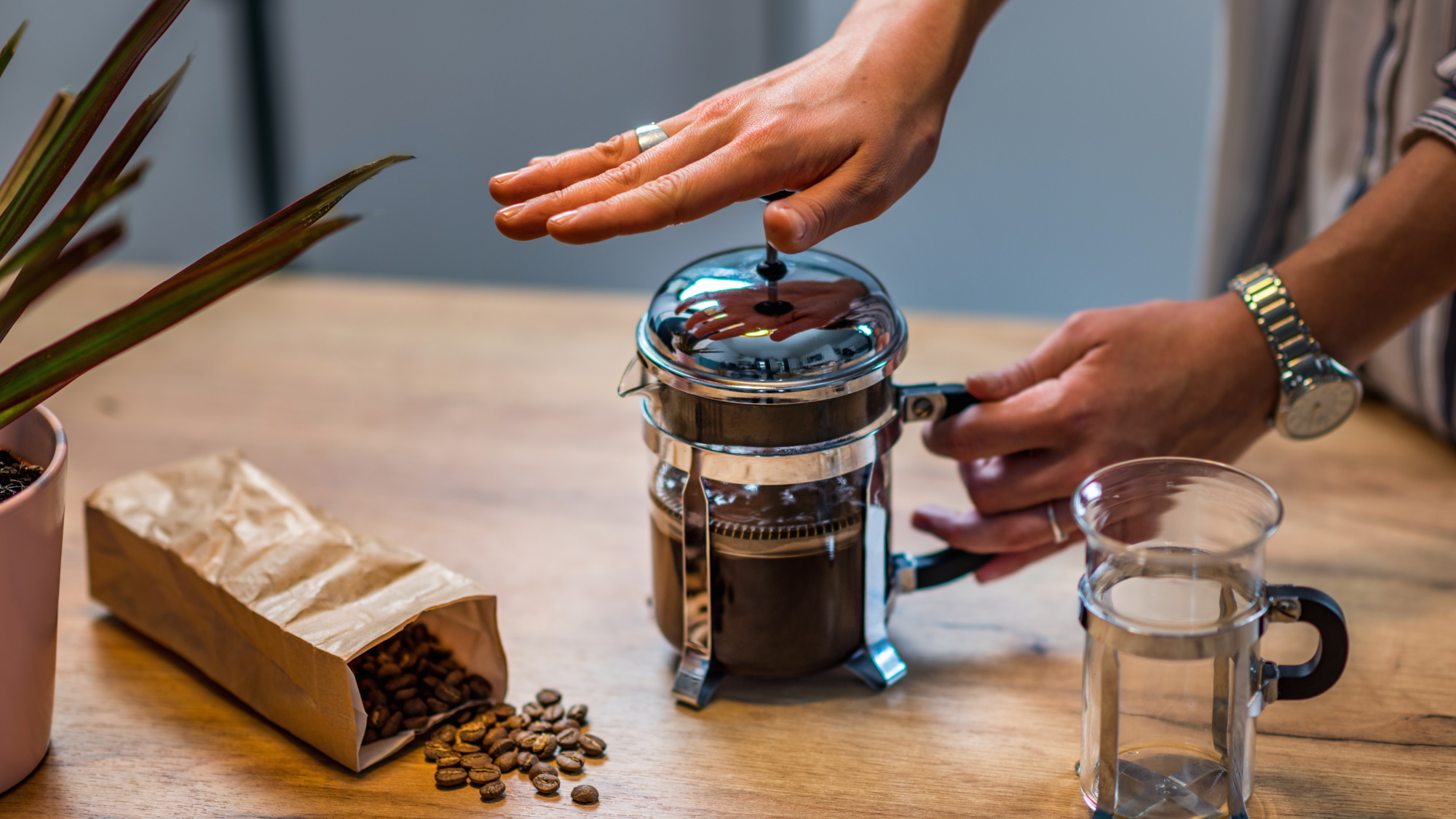 French press coffee maker