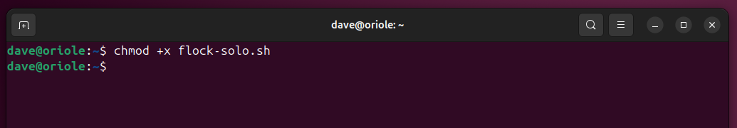 Χρησιμοποιώντας το chmod για να κάνετε το σενάριο flock-solo.sh εκτελέσιμο.