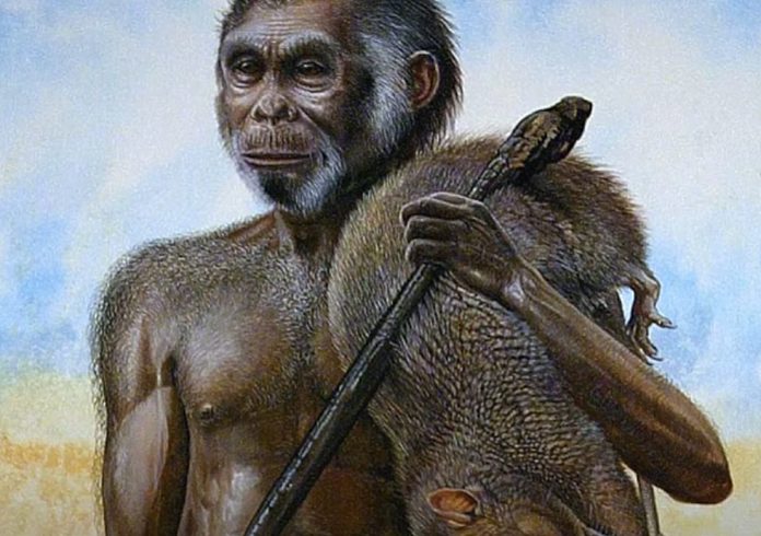 Homo Floresiensis