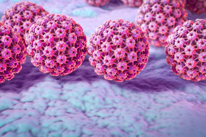 An illustration of HPV viral particles.