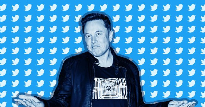 Elon Musk shrugging on a background with the Twitter logo