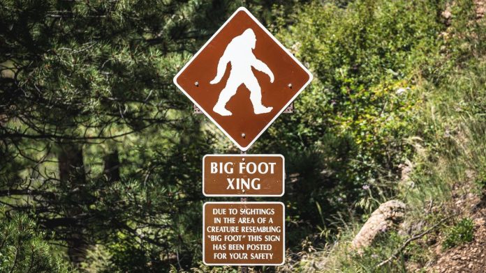 Bigfoot