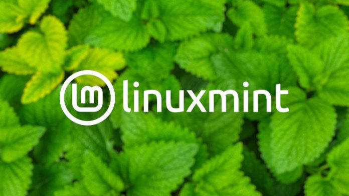 The Linux Mint logo in front of mint leaves